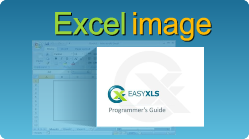 excel image