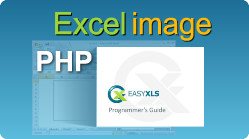 easyxls export excel image php