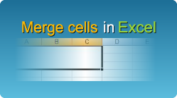 excel rich text format